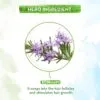 Rosemary Essential Oil