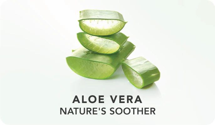 Aloe_Vera